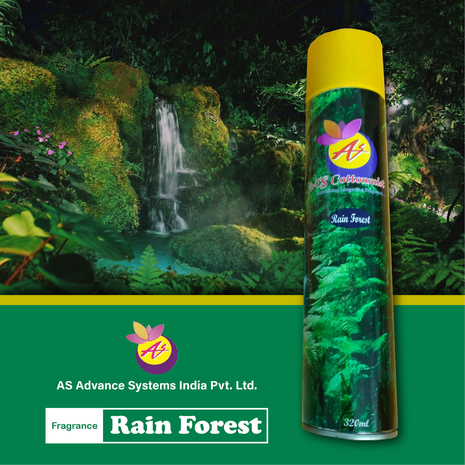 Rain-Forest-1